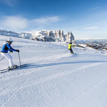 Otel Alpinhotel Vajolet - Adults Only Tires